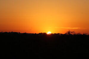 golden plains safaris uganda