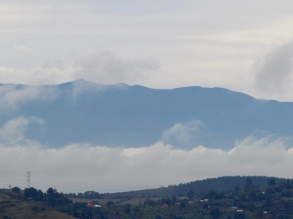 WhatsApp Image 2026-02-19 at 11.11.16